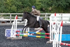 Class 4 - Fences 2'3 to 2'6